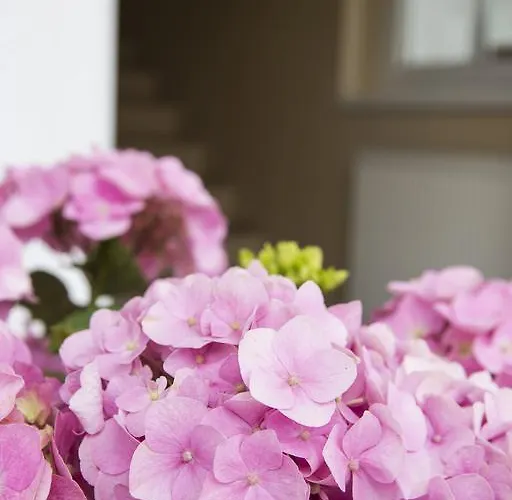 Am Sonnweg Апартаменты *