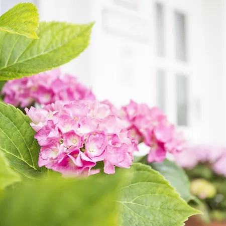 Am Sonnweg Daire Seefeld in Tirol