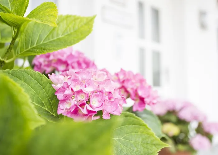 Am Sonnweg Apartamento Seefeld in Tirol